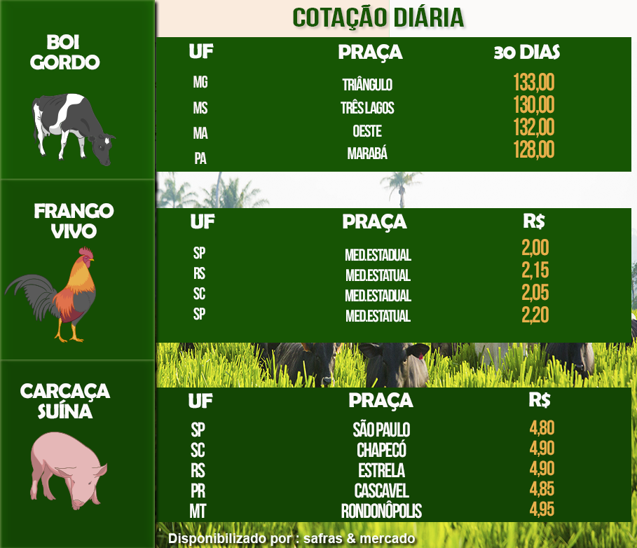 Indicadores